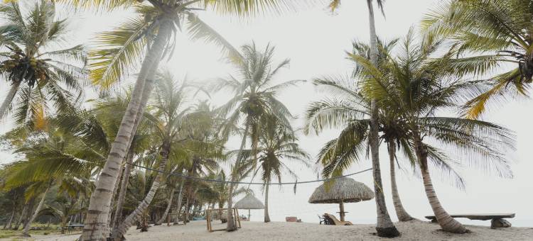 乌塔塔卡生态酒店(Uuttaaka Eco-Hotel)图片