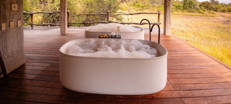 卡帕玛河旅馆(Kapama River Lodge)图片