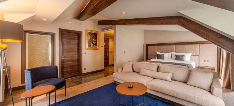 伊斯坦布尔希什利温德姆爵怡酒店(Tryp by Wyndham Istanbul Sisli Hotel)图片