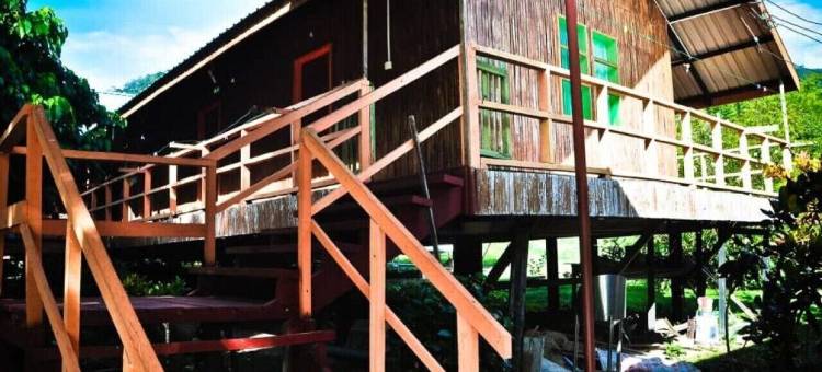 基纳巴卢波灵假日小屋酒店(Kinabalu Poring Vacation Lodge)图片