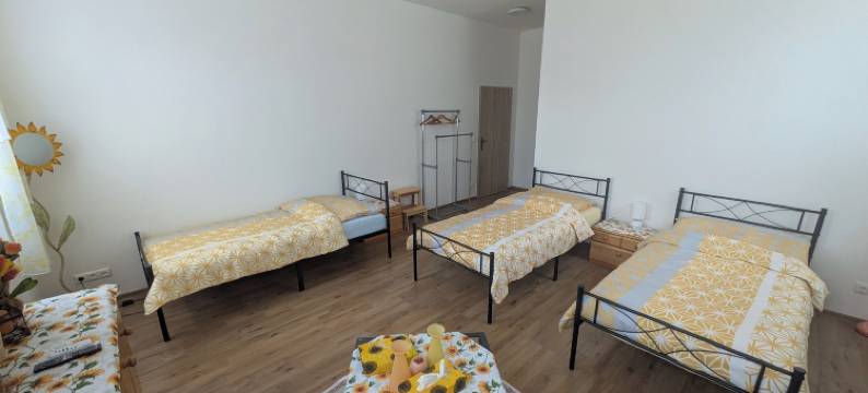 早餐膳宿公寓老学校(Frühstückspension Alte Volksschule Heinrichs bei Weitra)图片