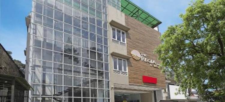 OYO 94729 雷吉亚达戈(OYO 94729 Regia Dago)图片