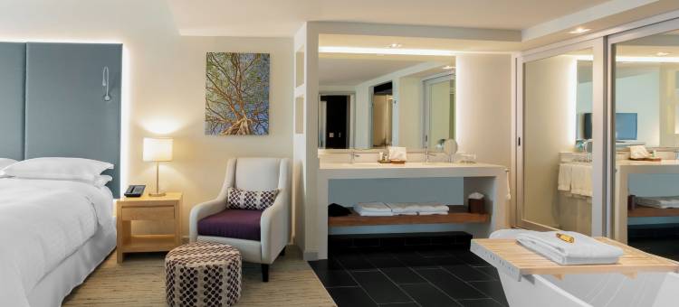 哥斯达黎加圣何塞喜来登酒店(Sheraton San Jose Hotel, Costa Rica)图片