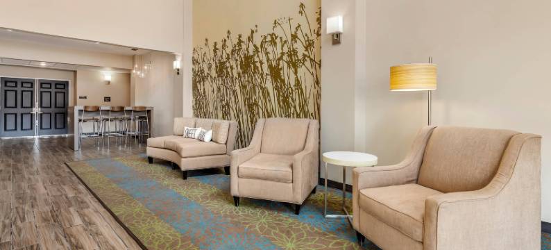 舒眠旅馆及套房威斯康星拉皮兹(Sleep Inn & Suites)图片