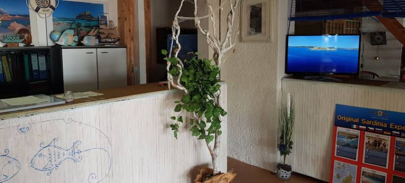 Apartment in Olbia with Garden图片