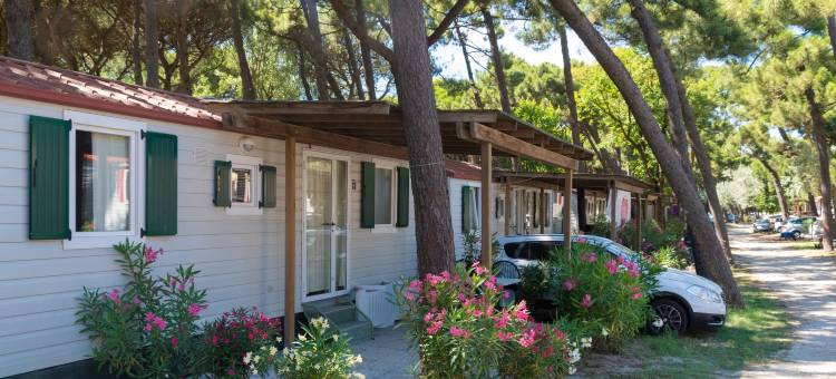 Beachy Comfort in Lido di Spina图片