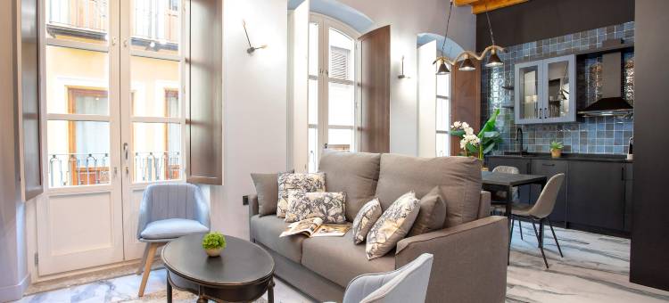 Exclusive apartment in Granada Center. Catedral 201图片