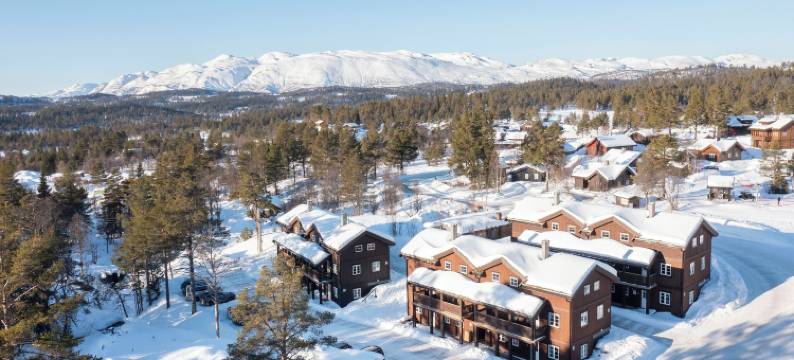 朗兰度假中心酒店(Rauland Feriesenter)图片