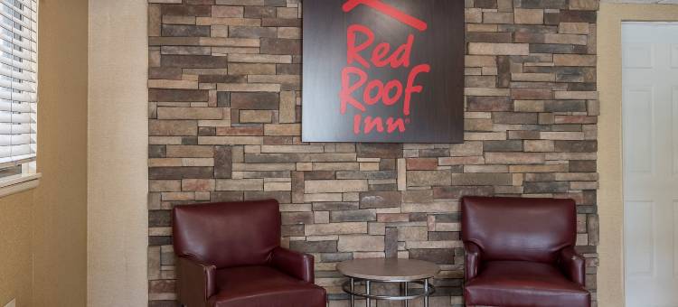 坦帕-布兰登红顶酒店(Red Roof Inn Tampa - Brandon)图片