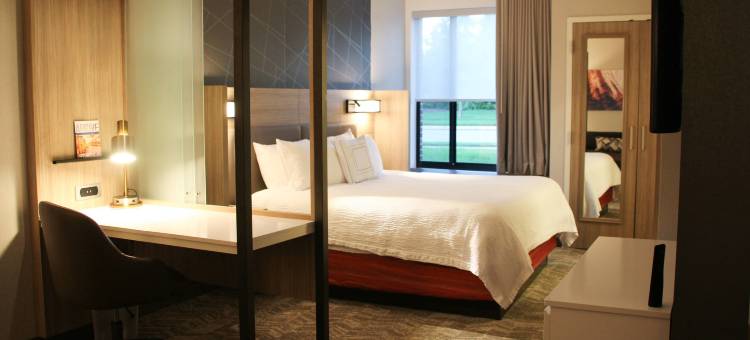 巴尔的摩白沼泽中河SpringHill Suites酒店(SpringHill Suites Baltimore White Marsh/Middle River)图片