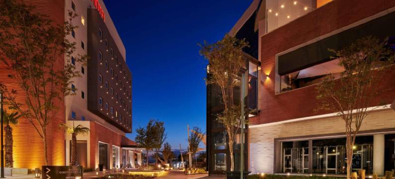 宜必思托雷翁(Ibis Torreón)图片