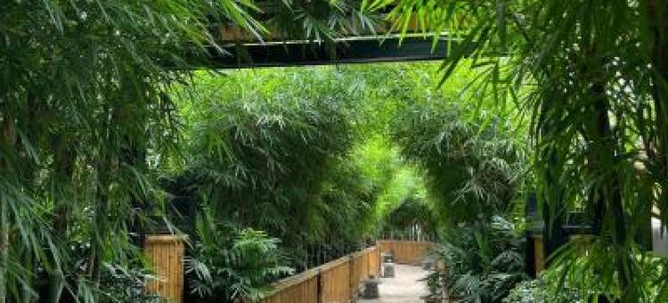 Wyndham Lynn Times Onsen Wellness图片