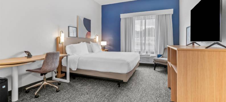 希尔顿梅卡尼克斯堡spark酒店(Spark by Hilton Mechanicsburg)图片