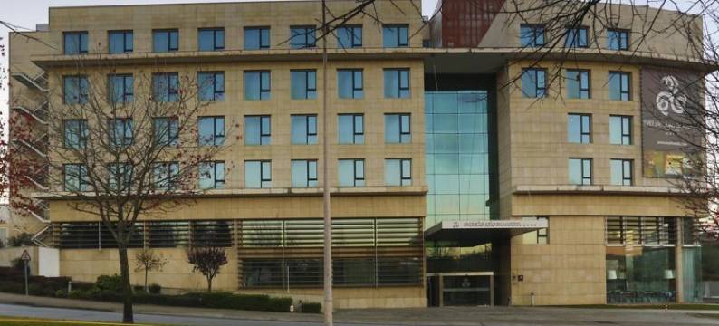 圣若昂达马德拉郁锦香酒店(Golden Tulip Sao Joao Da Madeira Hotel)图片