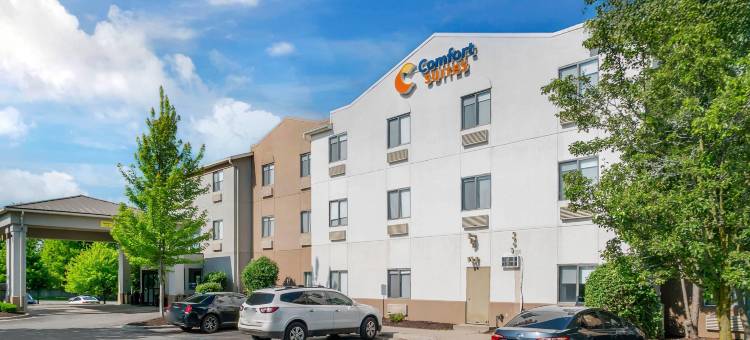 奥本希尔斯舒适套房酒店(Comfort Suites Auburn Hills-Detroit)图片