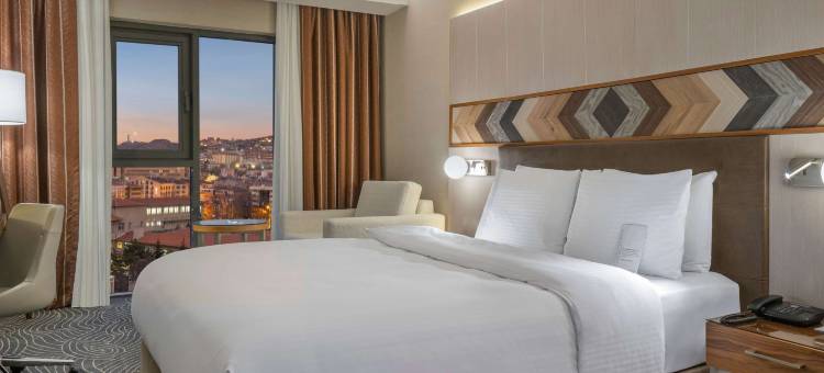 安卡拉基济莱美居酒店(Mercure Ankara Kizilay)图片