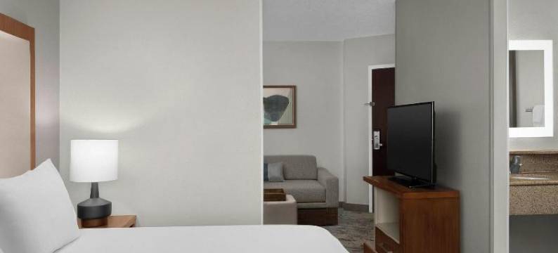 林奇堡机场-大学区万豪SpringHill酒店(SpringHill Suites Lynchburg Airport/University Area)图片