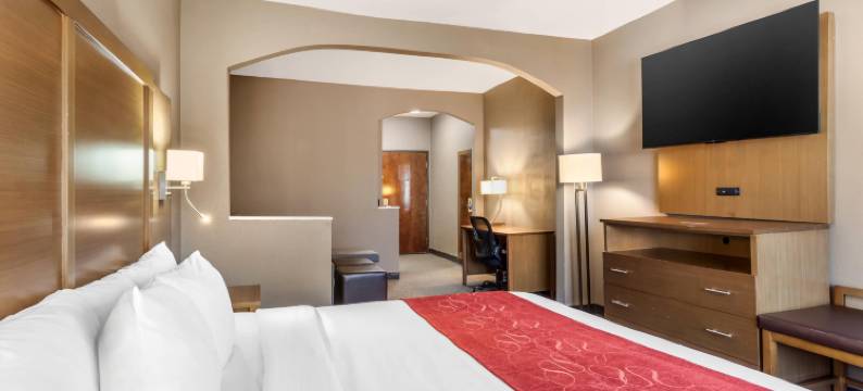 康福特套房布什洲际机场酒店(Comfort Suites Bush InterContinental Airport)图片