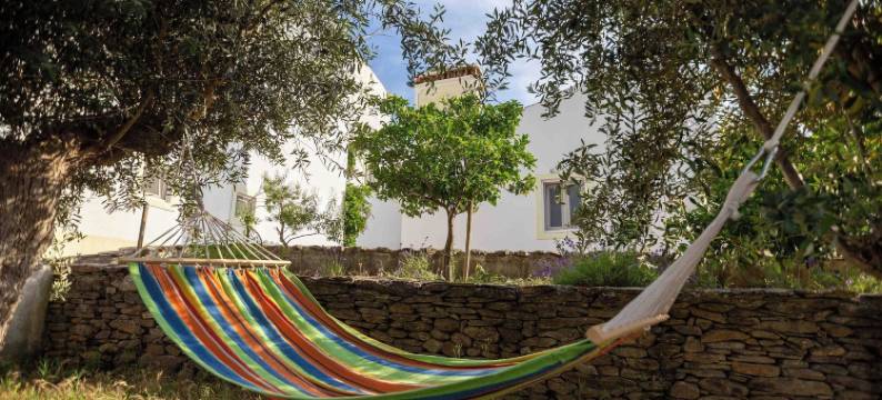 蒙特达斯奥利维拉斯(Monte Das Oliveiras)图片