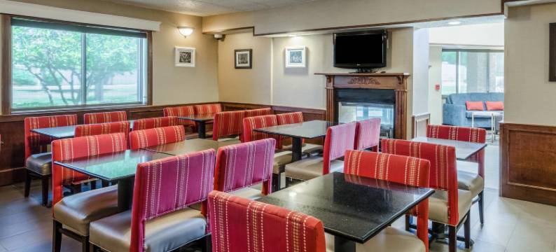 舒适套房酒店(Comfort Inn & Suites)图片