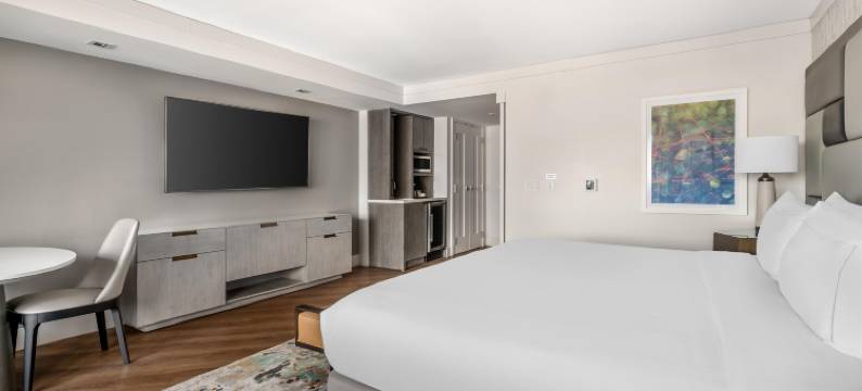 芝加哥华丽一英里希尔顿分时度假俱乐部(Hilton Grand Vacations Club Chicago Magnificent Mile)图片