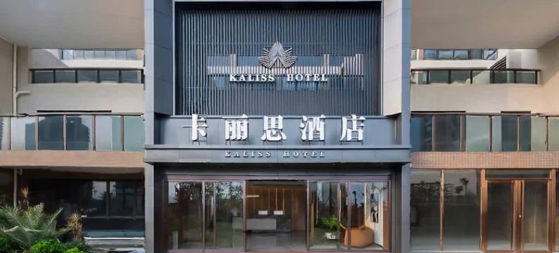 阳江海陵岛卡丽思酒店(十里银滩店)图片