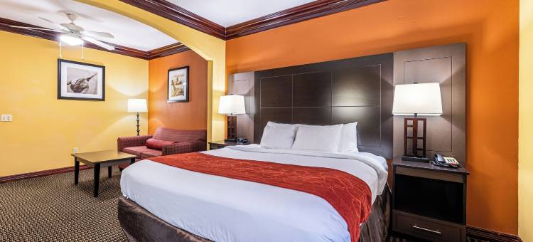 克鲁特杰克森湖舒适全套房酒店(Comfort Suites Lake Jackson Clute)图片