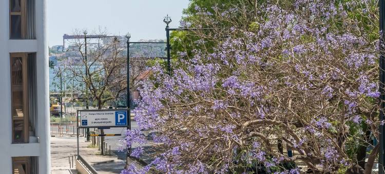 GuestReady - 2BR Apt Carlos I com Terrace e Gym图片