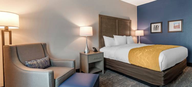 舒适酒店和套房 - 杰克逊维尔橙园靠近海军航空站(Comfort Inn & Suites Jacksonville - Orange Park Near Naval Air Station)图片