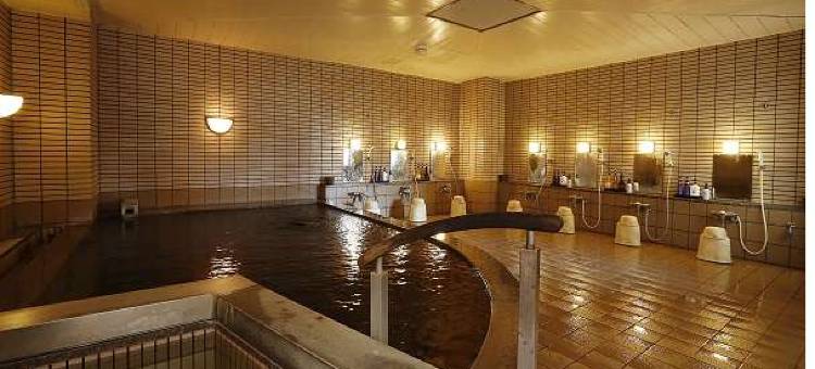 十胜花园酒店(Tokachi Gardens Hotel)图片