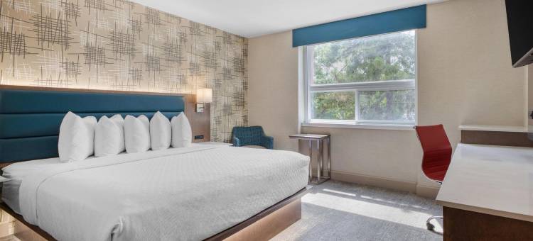 市中心贝斯特韦斯特优质酒店(Best Western Plus City Centre Inn)图片