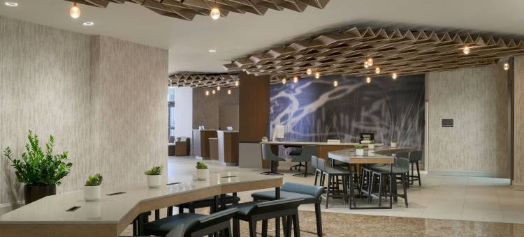 萨克拉门托兰乔科尔多瓦万豪酒店(Sacramento Marriott Rancho Cordova)图片