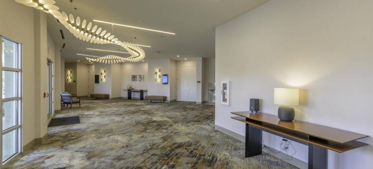 希尔顿逸林酒店米德兰西环I-250(Doubletree by Hilton Midland West Loop I-250)图片