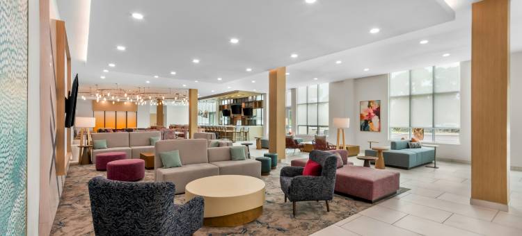 希尔顿花园酒店德斯廷购物中心(Hilton Garden Inn Destin Commons)图片