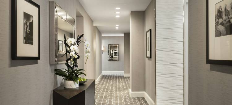 纽约特朗普国际酒店大厦(Trump International Hotel & Tower® New York)图片