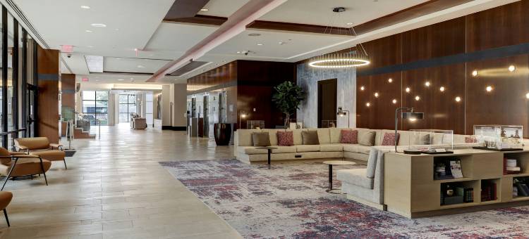 休斯顿大学希尔顿酒店(Hilton University of Houston)图片