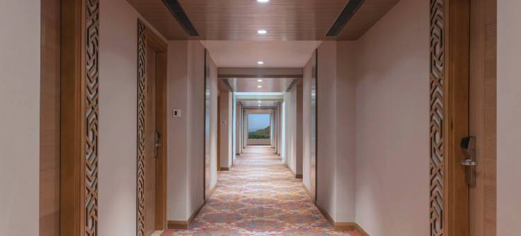 齐普尔阿梅尔希尔顿逸林酒店(DoubleTree by Hilton Jaipur Amer)图片