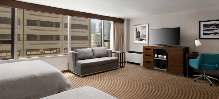 芝加哥市中心/壮丽大道希尔顿欢朋酒店(Hampton Inn Chicago Downtown/Magnificent Mile)图片