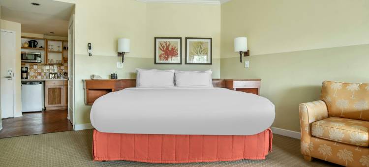 桑德斯廷高尔夫及海滩度假村希尔顿分时度假俱乐部(Hilton Grand Vacations Club in Sandestin Golf and Beach Resort)图片