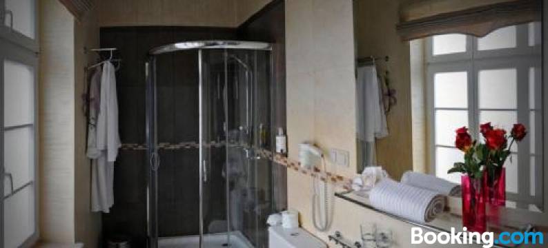 索兰科瓦别墅酒店(Villa Solankowa)图片