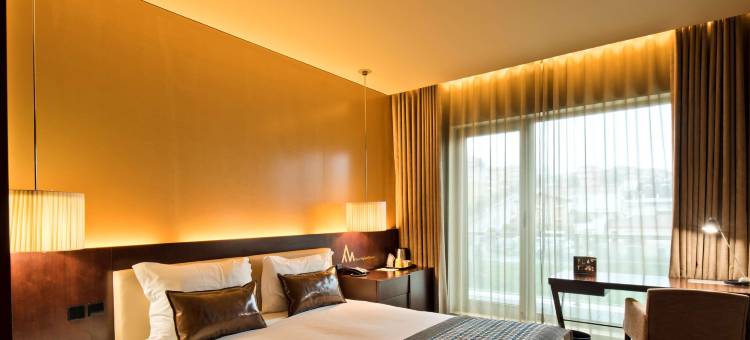 圣若昂达马德拉郁锦香酒店(Golden Tulip Sao Joao Da Madeira Hotel)图片