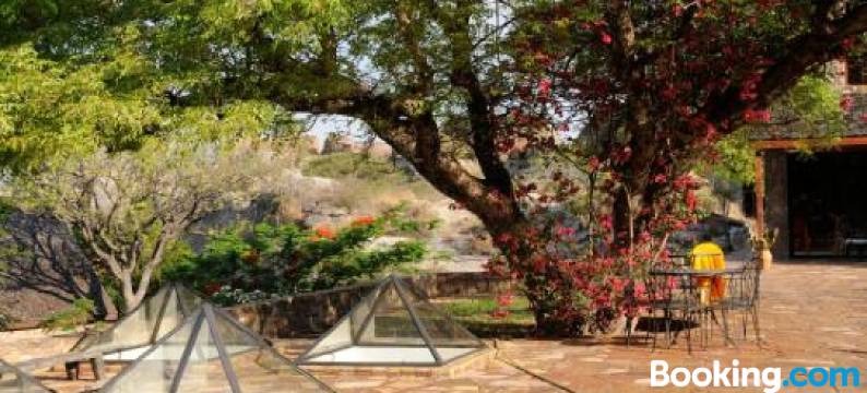 Le Jardin du Roy图片