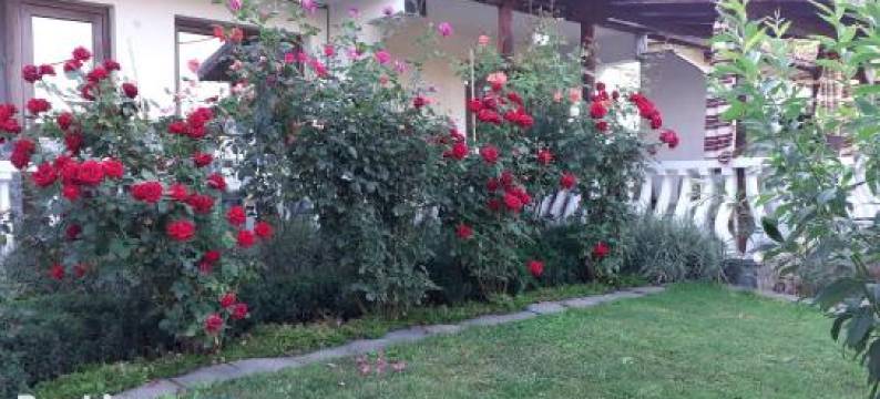 达莉妲招待所(Guesthouse Dida)图片