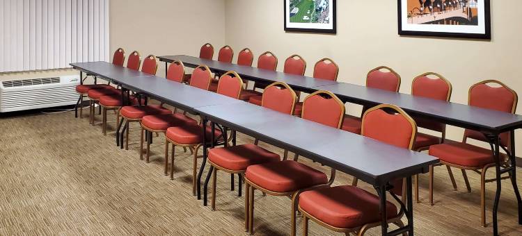 舒适酒店及套房-坦佩凤凰城天港机场(Comfort Inn & Suites Tempe Phoenix Sky Harbor Airport)图片