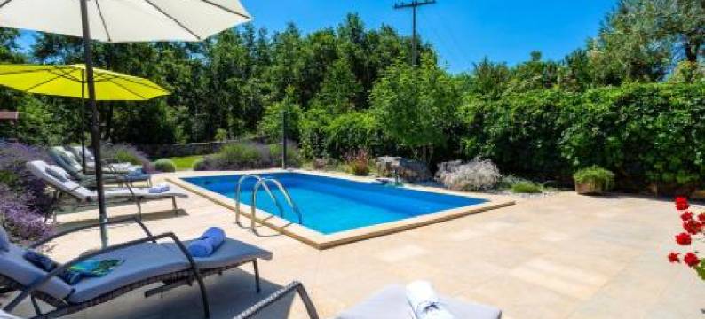 Villa Križanci图片