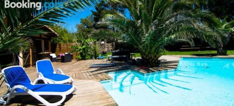 信使庄园酒店(Villa Hacienda 14 Pers Avec Piscine chauffée, Grand Jardin, Messanges Plage)图片