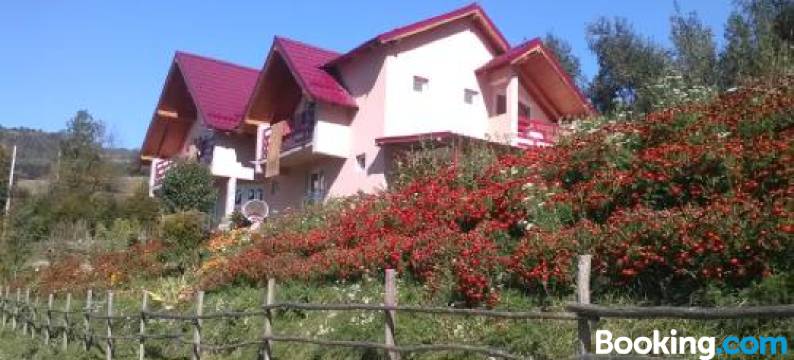 Casa cu Muscate图片