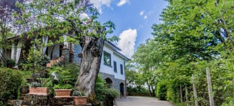 伊尔波斯盖托迪卡思塔尼酒店(Il Boschetto di Castagni)图片