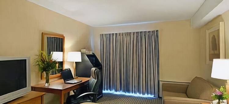 舒适酒店机场西(Comfort Inn Airport West)图片