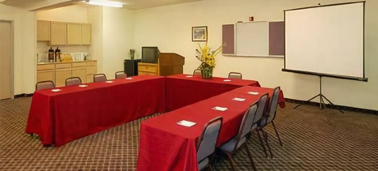 纽布朗费尔斯舒适套房酒店(Comfort Suites)图片